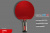Теннисная ракетка Start line Level 500 New (коническая) 12604 Теннисная ракетка Start line Level 500 New (коническая) 12604